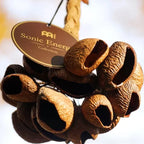 Nut Shell Chimes for Sound Healing